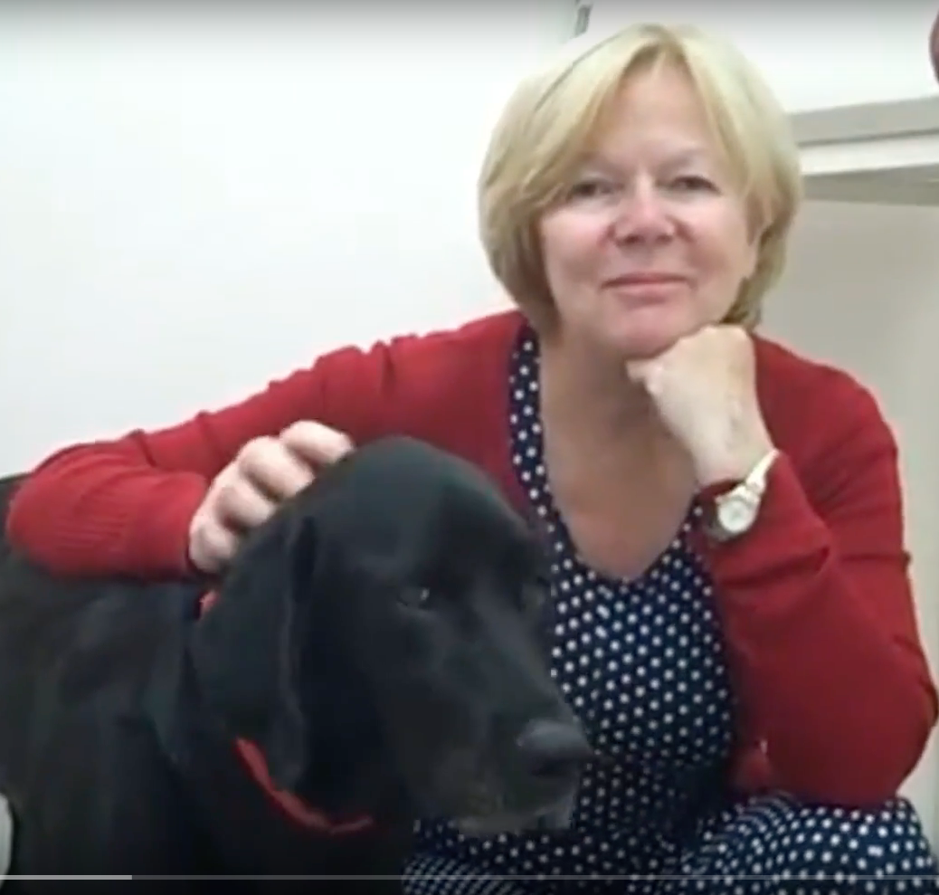 Vétérinaire Versoix, vétérinaire Commugny