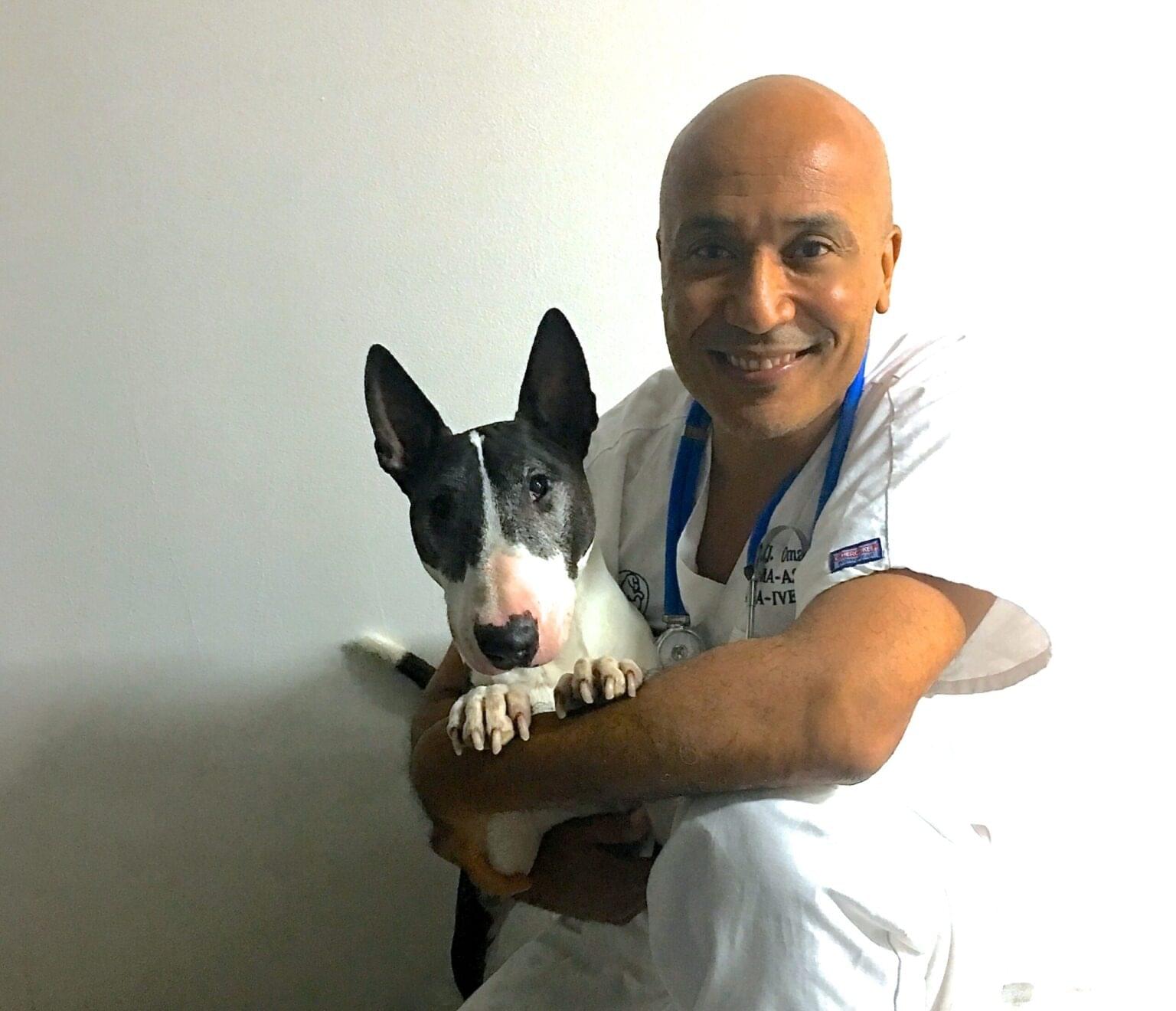 vétérinaire de garde la Côte, SOS Vétérinaire Genève, Urgences Vétérinaire Genève,Vétérinaire Genève, Vétérinaire de Garde Genève, Veterinaire de Garde Geneve, vétérinaire Versoix,  vétérinaire Rolle, vétérinaire Commugny, Vétérinaire urgence Nyon, vétérinaire crans près Céligny, vétérinaire Mies, Vétérinaire Nyon, vétérinaire Gland, vétérinaire Coppet, Vétérinaire de Garde Genève , Veterinaire de Garde Geneve, Vétérinaire de Garde Nyon, Vétérinaire de Garde Vaud, Vétérinaire de Garde Gland, Vétérinaire de Garde Morges, Animal Hospital Geneva, Geneva Animal Hospital, Difficulté à Uriner, Vétérinaire de Garde Lausanne ,apathie ou faiblesse chiens et chats