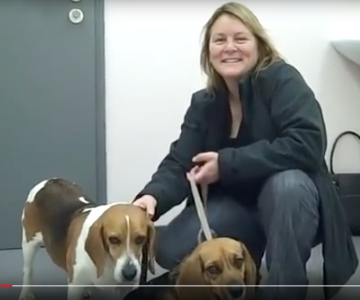 Vétérinaire Versoix, vétérinaire Commugny